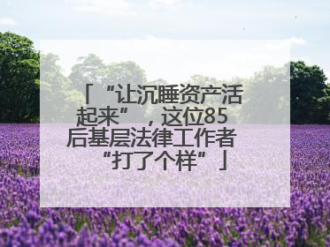 “让沉睡资产活起来”，这位85后基层法律工作者“打了个样”