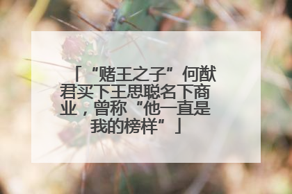 “赌王之子”何猷君买下王思聪名下商业，曾称“他一直是我的榜样”