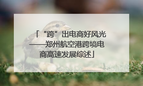 “跨”出电商好风光——郑州航空港跨境电商高速发展综述