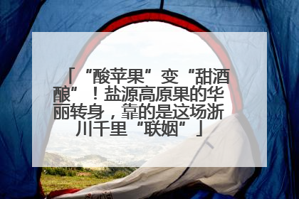 “酸苹果”变“甜酒酿”！盐源高原果的华丽转身，靠的是这场浙川千里“联姻”