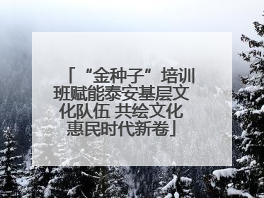 “金种子”培训班赋能泰安基层文化队伍 共绘文化惠民时代新卷