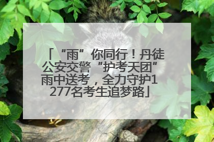 “雨”你同行！丹徒公安交警“护考天团”雨中送考，全力守护1277名考生追梦路
