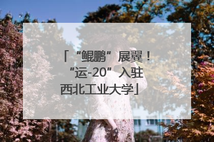 “鲲鹏”展翼！“运-20”入驻西北工业大学