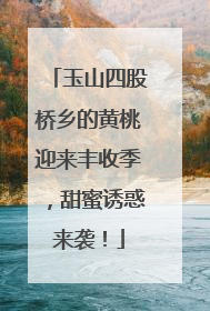 玉山四股桥乡的黄桃迎来丰收季，甜蜜诱惑来袭！