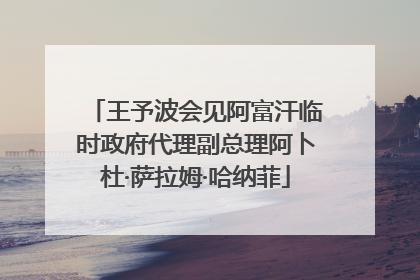 王予波会见阿富汗临时政府代理副总理阿卜杜·萨拉姆·哈纳菲