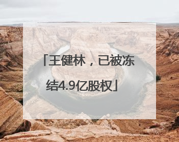 王健林，已被冻结4.9亿股权