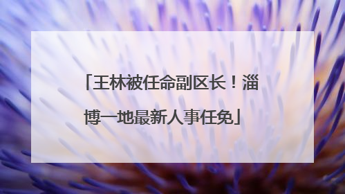 王林被任命副区长！淄博一地最新人事任免
