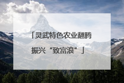 灵武特色农业翻腾振兴“致富浪”