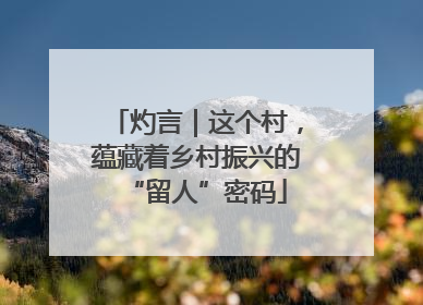 灼言｜这个村，蕴藏着乡村振兴的“留人”密码