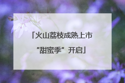 火山荔枝成熟上市 “甜蜜季”开启