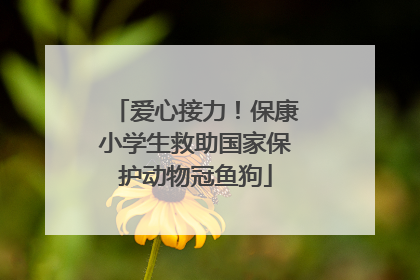 爱心接力！保康小学生救助国家保护动物冠鱼狗
