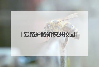 爱路护路知识进校园