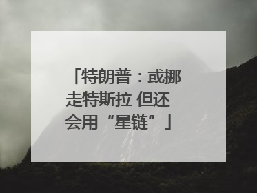 特朗普：或挪走特斯拉 但还会用“星链”