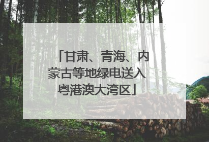 甘肃、青海、内蒙古等地绿电送入粤港澳大湾区
