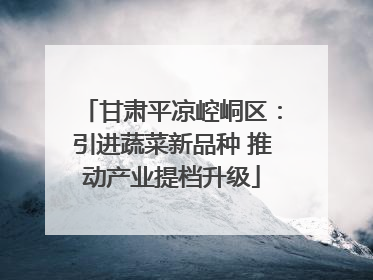 甘肃平凉崆峒区：引进蔬菜新品种 推动产业提档升级