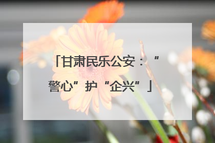 甘肃民乐公安：“警心”护“企兴”