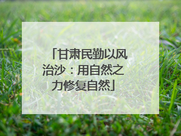 甘肃民勤以风治沙：用自然之力修复自然