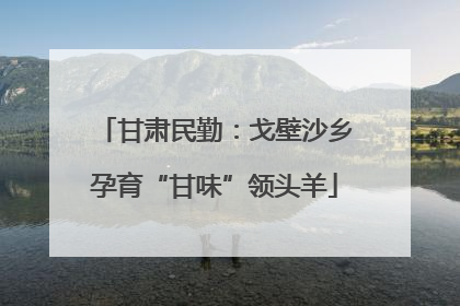 甘肃民勤：戈壁沙乡孕育“甘味”领头羊