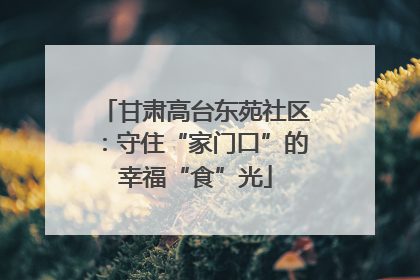 甘肃高台东苑社区：守住“家门口”的幸福“食”光