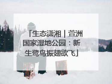 生态潇湘｜萱洲国家湿地公园：新生鹭鸟振翅欲飞
