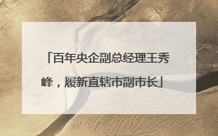 百年央企副总经理王秀峰，履新直辖市副市长