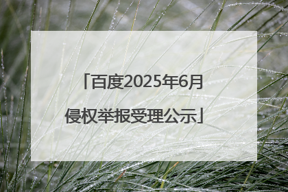 百度2025年6月侵权举报受理公示