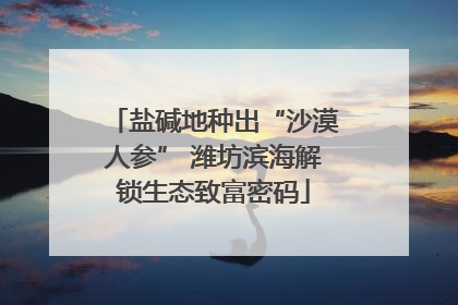 盐碱地种出“沙漠人参” 潍坊滨海解锁生态致富密码