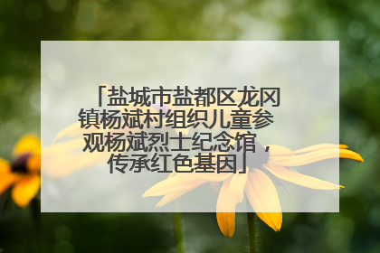 盐城市盐都区龙冈镇杨斌村组织儿童参观杨斌烈士纪念馆，传承红色基因