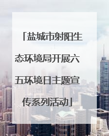 盐城市射阳生态环境局开展六五环境日主题宣传系列活动