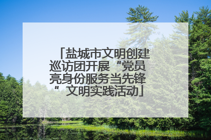 盐城市文明创建巡访团开展“党员亮身份服务当先锋”文明实践活动