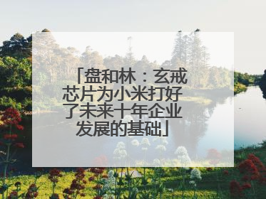 盘和林：玄戒芯片为小米打好了未来十年企业发展的基础