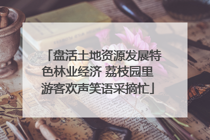 盘活土地资源发展特色林业经济 荔枝园里游客欢声笑语采摘忙