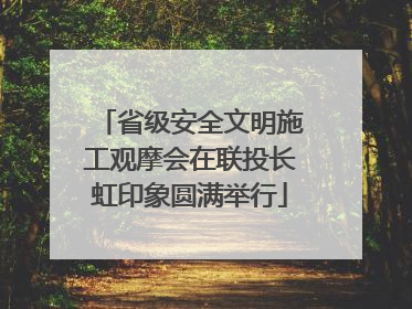 省级安全文明施工观摩会在联投长虹印象圆满举行
