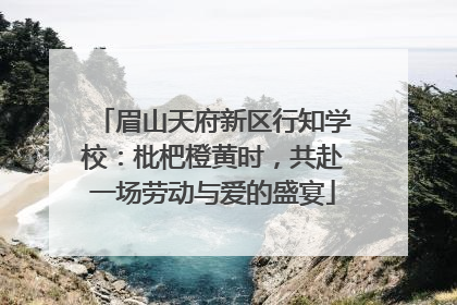 眉山天府新区行知学校：枇杷橙黄时，共赴一场劳动与爱的盛宴