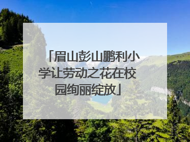 眉山彭山鹏利小学让劳动之花在校园绚丽绽放