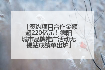 签约项目合作金额超220亿元！德阳城市品牌推广活动无锡站成绩单出炉