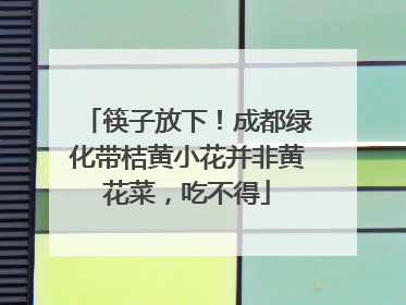 筷子放下！成都绿化带桔黄小花并非黄花菜，吃不得