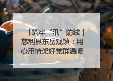 筑牢“汛”防线｜慈利县东岳观镇：用心用情架好党群温暖悠长的“连心桥”