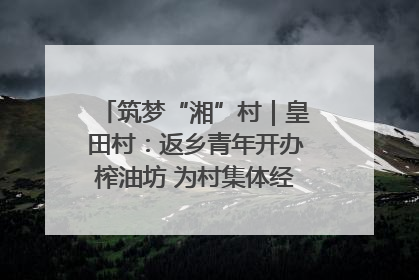 筑梦“湘”村｜皇田村：返乡青年开办榨油坊 为村集体经济“加油”