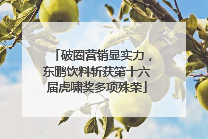 破圈营销显实力，东鹏饮料斩获第十六届虎啸奖多项殊荣