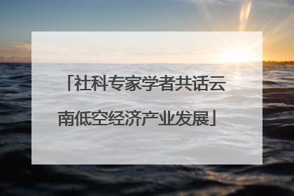 社科专家学者共话云南低空经济产业发展