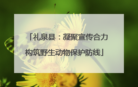 礼泉县：凝聚宣传合力构筑野生动物保护防线