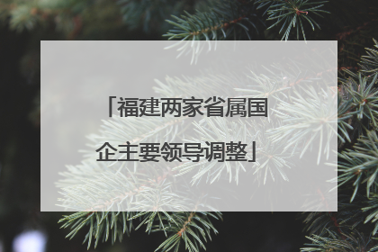 福建两家省属国企主要领导调整