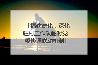 福建德化：深化驻村工作队临时党委协调联动机制