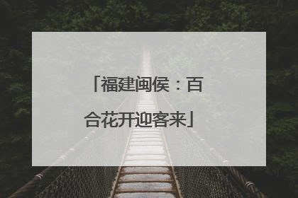 福建闽侯：百合花开迎客来
