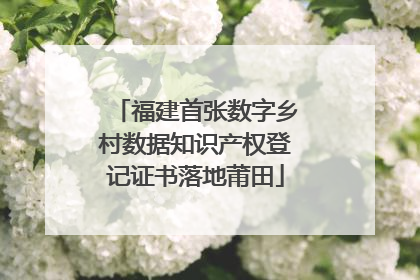 福建首张数字乡村数据知识产权登记证书落地莆田