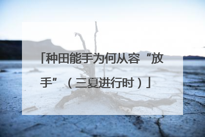 种田能手为何从容“放手”（三夏进行时）