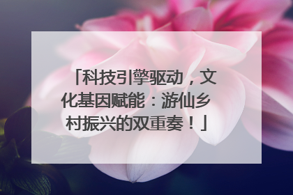 科技引擎驱动，文化基因赋能：游仙乡村振兴的双重奏！