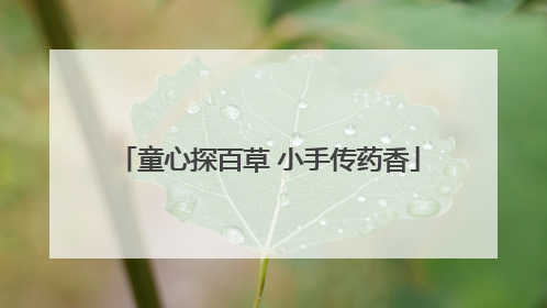 童心探百草 小手传药香