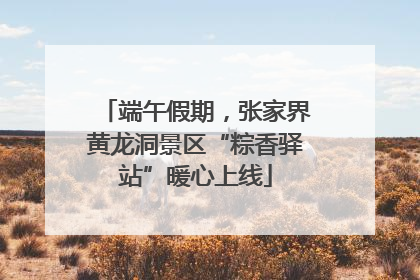 端午假期，张家界黄龙洞景区“粽香驿站”暖心上线